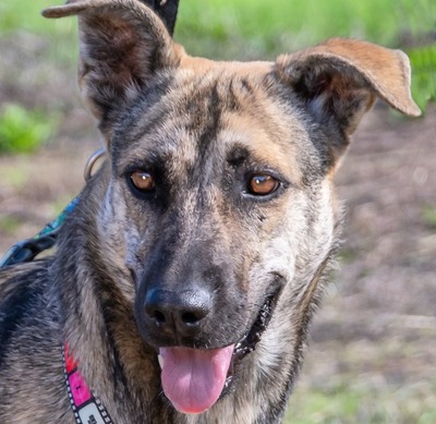 Jennifer - sanftes Herz sucht Halt