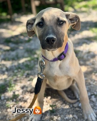 💜💜💜 Jessy wartet auf Ihre Familie💜💜💜