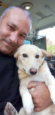 Joda – ein kleiner Sonnenschein auf vier Pfoten, Mischling - Rüde