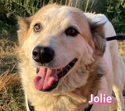 Jolie