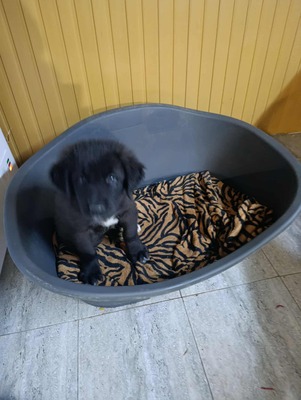 Jona, süßer Held sucht sein Glück