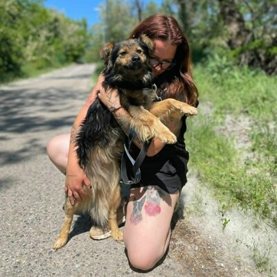 🐶Jonas ist sehr freundlich und liebenswert und mag auch andere Hunde sehr gerne 💥, Mischling - Rüde