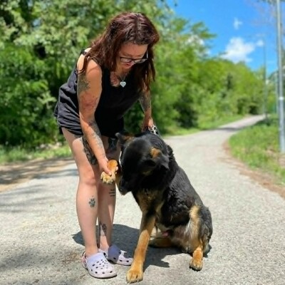 🥰Jupiter Schäferhund-Mischling ist ein überaus sanfter, freundlicher und liebevoller Hund, der für einen Neuanfang dankbar ist💥, Schäferhund-Mischling - Rüde