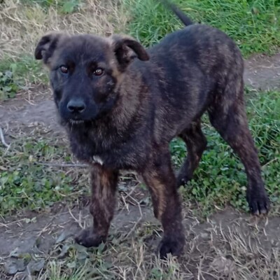 Juri - freundlich, offen und sozial