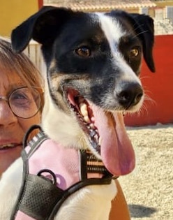 Kathi, Mix - Hündin