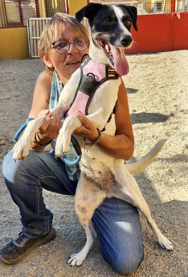 Kathi, Mix - Hündin