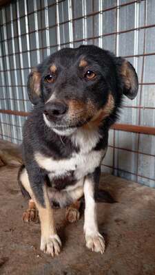 Kaya, vom Straßenrand ins Herz