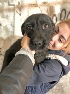 Keith, Mix - Hündin