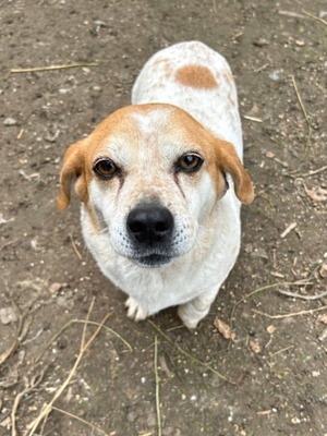 Kiki, wer zeigt ihm, dass die schönen Tage noch vor ihm liegen?