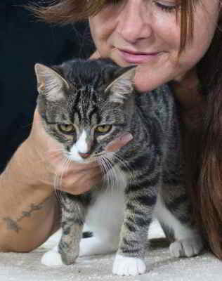 Kim und Kris - zwei Glückskinder, Mix Welpen - Katze