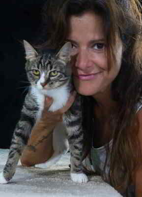 Kim und Kris - zwei Glückskinder, Mix Welpen - Katze