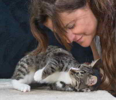 Kim und Kris - zwei Glückskinder, Mix Welpen - Katze