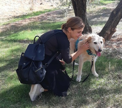 Kira, Mischling - Hündin