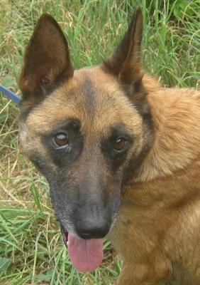 Kira freut sich auf SIE