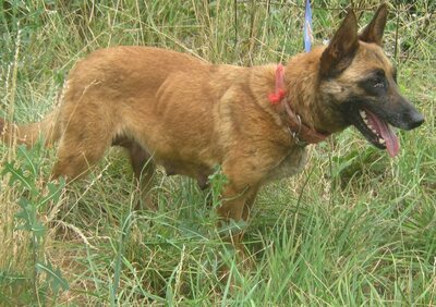 Kira freut sich auf SIE