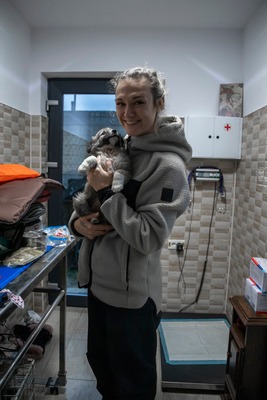 Kleine Mavjee , unsere Kuscheltante sucht ihr Herzenszuhause, Mischling Welpen - Hündin