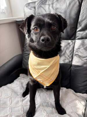 Kleine Vega sucht ihr großes Glück