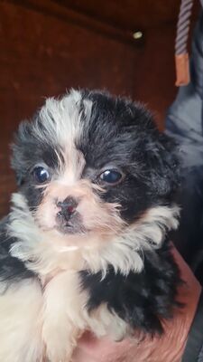 Kleine Wunder in der Kiste… und mittendrin: Mavi 💙