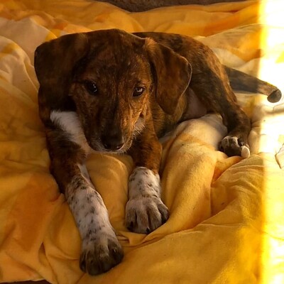 Kosma - ruhig & sehr souverän ☺️/ Reserviert