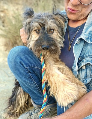 Kuma, Mix - Hündin