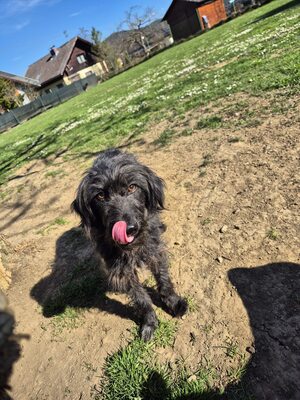 Kuscheltante Gerti sucht liebevolles Zuhause