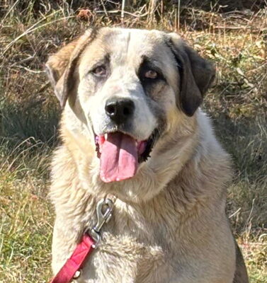 Lady Anne freut sich auf IHRE Familie