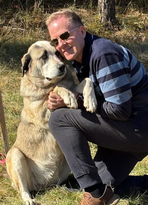 Lady Anne sucht IHRE Menschen, Mischling - Hündin