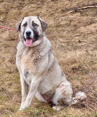Lady Suzanna möchte IHRE Menschen glücklich machen