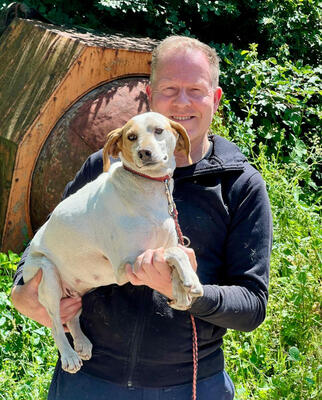 Lajka möchte Teil IHRER Familie sein, Mischling - Hündin