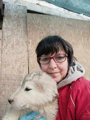 Laska, wenn Hoffnung ein Zuhause sucht, Mischling Welpen - Hündin