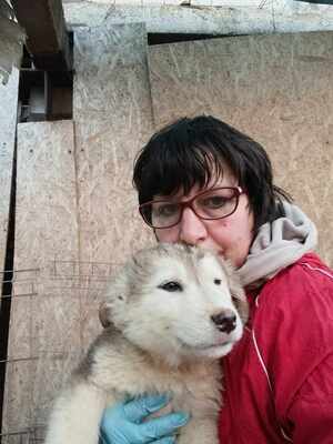 Laska, wenn Hoffnung ein Zuhause sucht, Mischling Welpen - Hündin