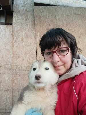 Laska, wenn Hoffnung ein Zuhause sucht, Mischling Welpen - Hündin