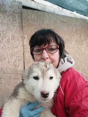 Laska, wenn Hoffnung ein Zuhause sucht, Mischling Welpen - Hündin