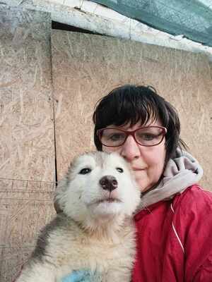 Laska, wenn Hoffnung ein Zuhause sucht, Mischling Welpen - Hündin