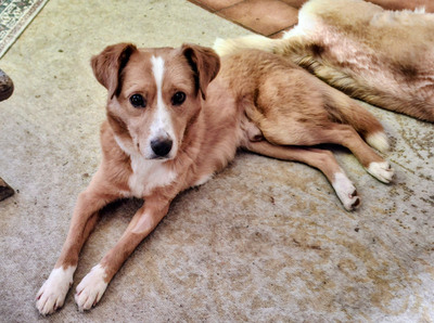 Laurie - NOTFALL Österreich