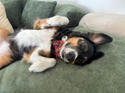 Leni