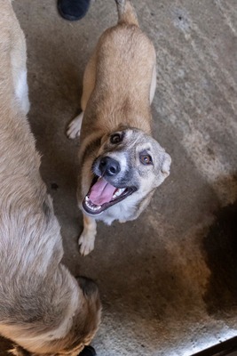 🎀 Leni – kleine Wirbelwind-Prinzessin auf der Suche nach ihrem Abenteuerland 🎀