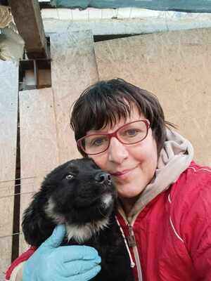 Lennox, wenn Hoffnung ein Zuhause sucht, Mischling Welpen - Rüde