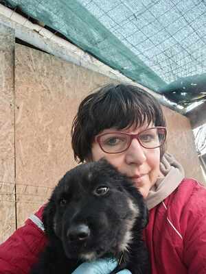 Lennox, wenn Hoffnung ein Zuhause sucht, Mischling Welpen - Rüde