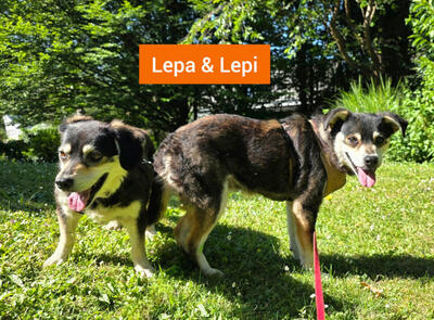 Lepi und Lepa - NOTFALL Österreich