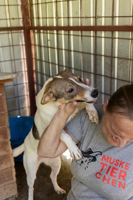 Lila – kleines Sonnenscheinchen mit großem Charme sucht ihre Menschen! ☀️🐾, Mischling - Hündin