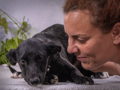 Lilly - ein liebes Hundemädchen, Mischling - Hündin