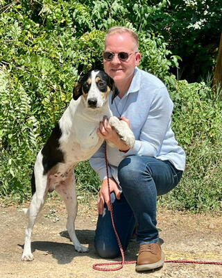 Link möchte IHR Gefährte werden, Mischling - Rüde