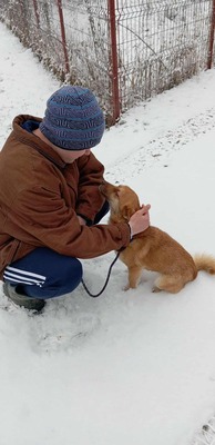 Lino – ein sanfter Blick, der nach Zuhause fragt 🐾🤍, Mischling - Hündin
