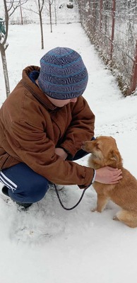 Lino – ein sanfter Blick, der nach Zuhause fragt 🐾🤍, Mischling - Hündin