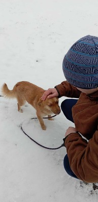 Lino – ein sanfter Blick, der nach Zuneigung frägt 🐾🤍, Mischling - Rüde