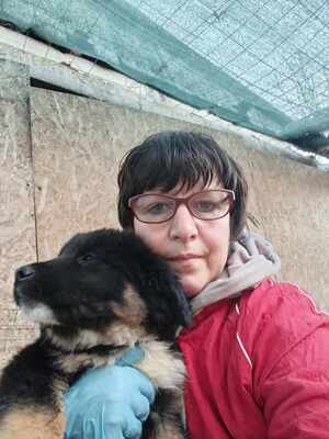 Linus, Wenn Hoffnung ein Zuhause sucht, Mischling Welpen - Rüde