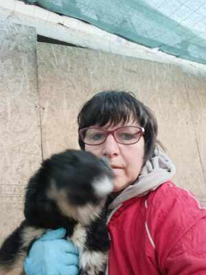 Linus, Wenn Hoffnung ein Zuhause sucht, Mischling Welpen - Rüde