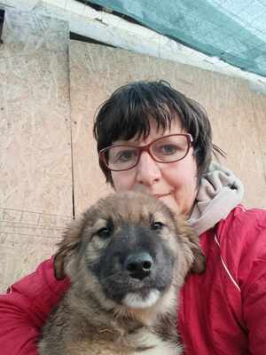 Lio - wenn Hoffnung ein Zuhause sucht, Mischling Welpen - Rüde