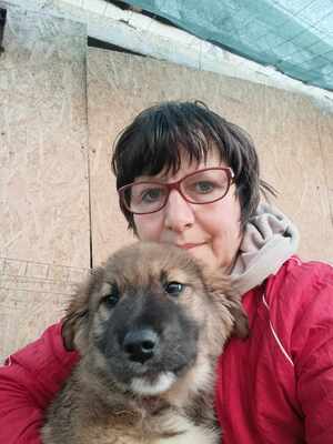 Lio - wenn Hoffnung ein Zuhause sucht, Mischling Welpen - Rüde